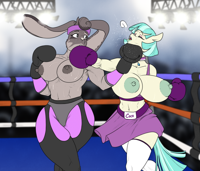 Size: 1117x956 | Tagged: questionable, artist:hellbridge, derpibooru import, coco pommel, oc, anthro, earth pony, rabbit, animal, areola, belly button, big areola, big breasts, boxing, boxing gloves, boxing ring, boxing shorts, breasts, busty coco pommel, clothes, digital art, duo, duo female, exposed breasts, female, foxy boxing, furry, furry oc, huge breasts, knock out, muscles, muscular female, nipples, nudity, partial nudity, punch, sports, sweat, tail, topless