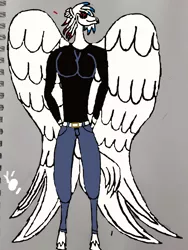 Size: 1224x1632 | Tagged: anthro, artist:makarosc, clothes, derpibooru import, hippogriff, hippogriff oc, jeans, oc, oc:tempest thrasher, pants, safe, solo