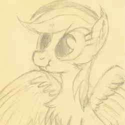 Size: 1047x1047 | Tagged: safe, artist:hotkinkajou, derpibooru import, rainbow dash, pegasus, pony, behaving like a bird, chest fluff, ear fluff, female, mating dance, monochrome, pencil drawing, scrunchy face, simple background, solo, spread wings, traditional art, wings