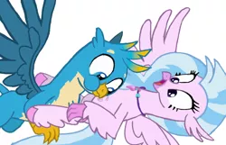 Size: 1080x696 | Tagged: safe, artist:princessdestiny200i, derpibooru import, gallus, silverstream, gryphon, hippogriff, cute, diastreamies, female, gallabetes, gallstream, laughing, looking down, lying down, male, on back, raspberry, shipping, straight, suprised look, tickling, tongue out, tummy buzz