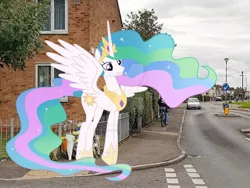 Size: 1024x768 | Tagged: safe, artist:princesslunayay, artist:sonofaskywalker, derpibooru import, princess celestia, alicorn, human, pony, bicycle, britain, car, crown, cute, cutelestia, deviantart, deviantart watermark, england, excited, female, hoof shoes, irl, irl human, jewelry, mare, necklace, obtrusive watermark, photo, ponies in real life, regalia, smiling, united kingdom, vauxhall, watermark