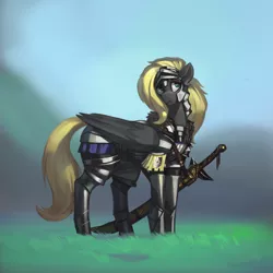 Size: 3000x3000 | Tagged: safe, artist:nsilverdraws, derpibooru import, oc, oc:veen sundown, unofficial characters only, horse, pegasus, pony, armor, badge, female, fur, grass, guard, guardsmare, helmet, high res, mare, royal guard, scabbard, solo, standing, sundown clan, sword, weapon