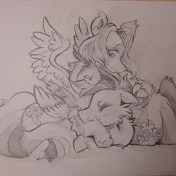 Size: 1080x1080 | Tagged: safe, artist:c_owokie, derpibooru import, fluttershy, rainbow dash, pegasus, pony, duo, eyes closed, female, fluffy, flutterdash, lesbian, lineart, mare, monochrome, prone, shipping, snuggling, traditional art