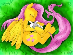 Size: 512x387 | Tagged: safe, artist:0pika-chan0, derpibooru import, fluttershy, pegasus, pony, rabbit, animal, curled up, duo, eyes closed, female, grass, lying down, mare, side, sleeping, top down, wings