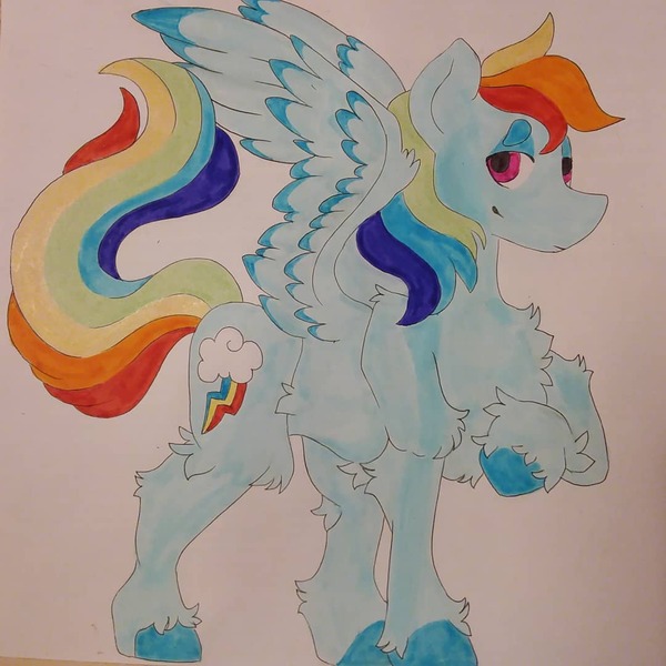 Size: 1080x1080 | Tagged: safe, artist:c_owokie, derpibooru import, rainbow dash, pegasus, pony, chest fluff, colored hooves, female, fluffy, mare, raised hoof, solo, traditional art, unshorn fetlocks