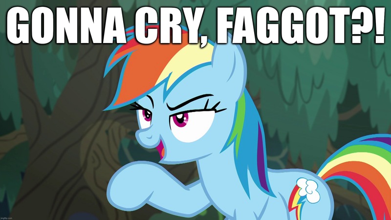 Size: 1920x1080 | Tagged: safe, derpibooru import, edit, edited screencap, screencap, rainbow dash, pegasus, pony, equestria girls, spring breakdown, bully, bullying, caption, faggot, image macro, implied crying, meme, pointing, rainbow douche, reaction image, talking to viewer, text, vulgar