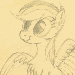 Size: 500x500 | Tagged: safe, artist:hotkinkajou, derpibooru import, rainbow dash, pegasus, pony, animated, behaving like a bird, chest fluff, cute, dashabetes, ear fluff, female, frame by frame, mating dance, monochrome, pencil drawing, perfect loop, scrunchy face, simple background, solo, spread wings, traditional art, wings