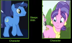 Size: 1024x611 | Tagged: suggestive, deleted from derpibooru, derpibooru import, cookie crumbles, night light, pony, unicorn, female, implied infidelity, implied sex, implied swinging, male, mare, meme, stallion