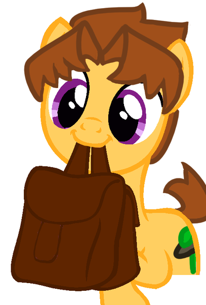 Size: 510x752 | Tagged: safe, artist:theedgyduck, derpibooru import, oc, oc:discovered mystery, unofficial characters only, earth pony, bag, base used, cute, male, simple background, solo, white background