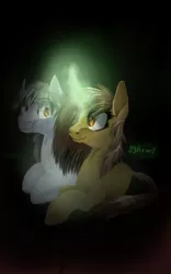 Size: 500x800 | Tagged: artist needed, safe, derpibooru import, oc, oc:silver bristle, unofficial characters only, earth pony, pony, unicorn, darkness, digital art, female, glowing horn, horn, male, mare, missing accessory, simple background, stallion