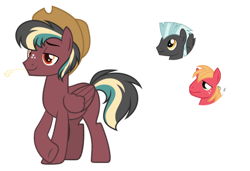 Size: 1024x701 | Tagged: safe, artist:sapphiretwinkle, derpibooru import, big macintosh, thunderlane, oc, pegasus, pony, hat, magical gay spawn, male, offspring, parent:big macintosh, parent:thunderlane, parents:thundermac, simple background, stallion, transparent background