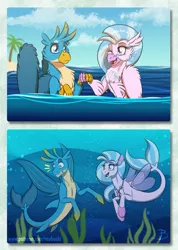 Size: 1533x2156 | Tagged: safe, artist:inuhoshi-to-darkpen, derpibooru import, gallus, silverstream, gryphon, hippogriff, seapony (g4), shark, beakless, chest fluff, cute, diastreamies, ear fluff, female, gallabetes, gallstream, male, open mouth, seaponified, seapony gallus, shipping, species swap, straight, underwater, water, wing fluff