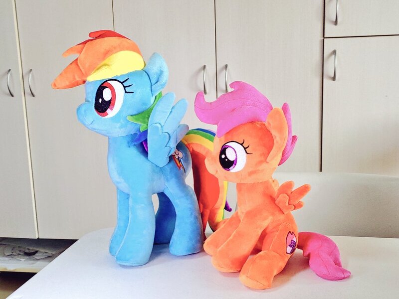 Size: 1024x768 | Tagged: safe, artist:nekokevin, derpibooru import, rainbow dash, scootaloo, pegasus, pony, cute, cutealoo, dashabetes, duo, female, filly, irl, mare, photo, plushie, sitting, smiling, spread wings, wings