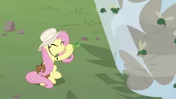 Size: 1920x1080 | Tagged: daring doubt, derpibooru import, fluttershy, fly, fly-der, hybrid, insect, safe, screencap, spider