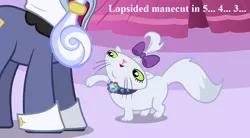 Size: 1260x693 | Tagged: safe, derpibooru import, edit, edited screencap, screencap, hoity toity, opalescence, cat, earth pony, pony, suited for success, bow, clothes, cropped, cute, female, male, opalbetes, pet collar, pure unfiltered evil, stallion, suit, text, this will not end well