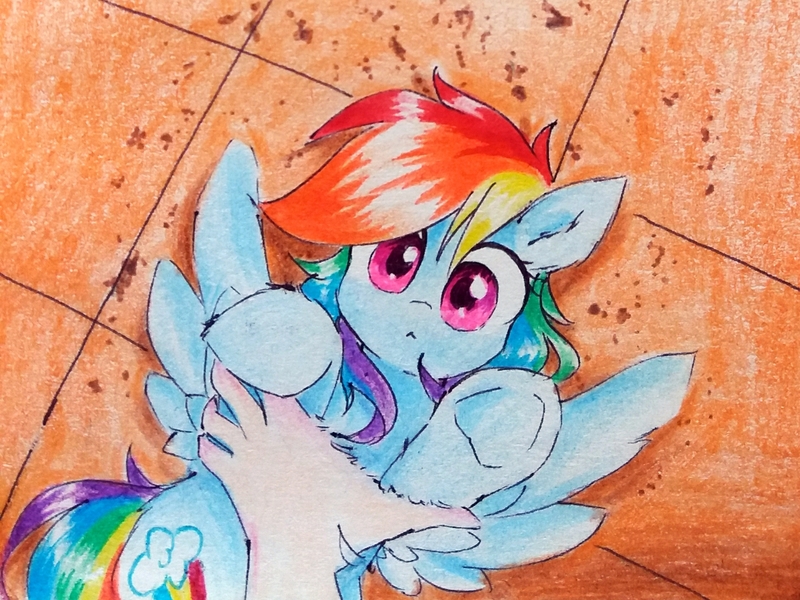 Size: 1940x1454 | Tagged: safe, artist:liaaqila, derpibooru import, rainbow dash, human, pegasus, pony, :<, behaving like a cat, cute, dashabetes, hand, human on pony petting, petting, ponified animal photo, this will not end well, traditional art