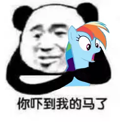 Size: 1003x1024 | Tagged: chinese meme, chinese text, cursed image, derpibooru import, meme, rainbow dash, safe, shocked, wat, why