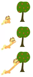 Size: 1452x3384 | Tagged: safe, artist:wren, derpibooru import, applejack, earth pony, absurd resolution, apple, apple tree, comic, cowboy hat, female, food, hairband, hat, laying on ground, long neck, lying down, reaching, resting, simple background, solo, squatpony, stare, transparent background, tree, wat, white background