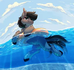 Size: 2500x2361 | Tagged: safe, artist:peachmayflower, derpibooru import, oc, oc:grey matter, unofficial characters only, earth pony, pony, cloud, floating, inner tube, solo, water