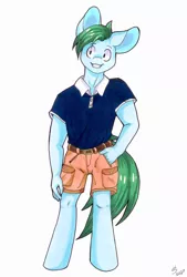 Size: 768x1136 | Tagged: anthro, artist:hs_creativestudios, clothes, derpibooru import, male, oc, oc:summer fluff, polo shirt, safe, shorts, solo, stallion, unofficial characters only