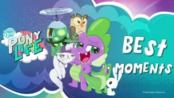 Size: 1920x1080 | Tagged: alligator, angel bunny, animal, best moments, bird, cat, derpibooru import, dragon, gummy, my little pony: pony life, official, opalescence, owl, owlowiscious, rabbit, safe, spike, tank, tortoise