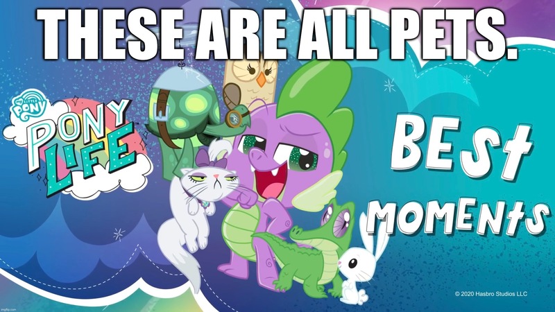 Size: 2048x1152 | Tagged: abuse, alligator, angel bunny, animal, bird, caption, cat, derpibooru import, dragon, gummy, image macro, implied spikeabuse, my little pony: pony life, opalescence, owl, owlowiscious, pet, pet spike, rabbit, safe, spike, spikeabuse, spike is a pet, tank, text, tortoise, winged spike