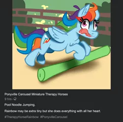 Size: 2034x2016 | Tagged: safe, anonymous artist, derpibooru import, rainbow dash, pegasus, pony, /mlp/, chest fluff, cute, derp, drawthread, drool, ear fluff, faic, female, funny, hoers, horses doing horse things, jumping, mare, miniature horse, open mouth, ponified animal photo, pool noodle, requested art, silly, silly pony, solo, tongue out, wat, wide eyes
