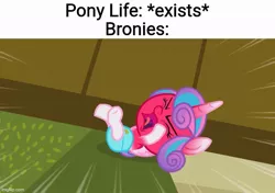 Size: 711x500 | Tagged: a flurry of emotions, angry, brony stereotype, derpibooru import, drama, edit, edited screencap, meme, pony life drama drama, princess flurry heart, red face, safe, screencap, temper tantrum