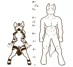 Size: 540x500 | Tagged: anthro, artist:nakedsharks, derpibooru import, explicit source, oc, oc:bina booker, safe, size chart, size comparison, zebra