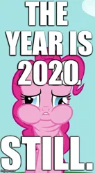 Size: 369x671 | Tagged: 2020, captain obvious, caption, cropped, derpibooru import, edit, edited edit, edited screencap, fact, image macro, meme, pinkie pie, read it and weep, safe, screencap, solo, text, updated