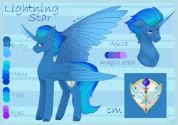Size: 1080x758 | Tagged: safe, artist:chrystal_company, derpibooru import, oc, oc:lightning star, unofficial characters only, alicorn, pony, abstract background, alicorn oc, bust, colored hooves, curved horn, duo, horn, reference sheet, wings