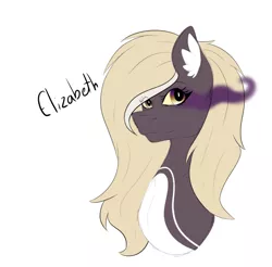 Size: 780x769 | Tagged: safe, artist:chazmazda, derpibooru import, oc, oc:elizabeth, unofficial characters only, pony, blonde hair, bust, did, dissociative identity disorder, eye, eye shimmer, eye shine, eyes, hair, long hair, magic, magic aura, markings, portrait, simple background, solo, sombra eyes, white background