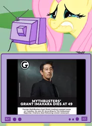 Size: 563x771 | Tagged: safe, deleted from derpibooru, derpibooru import, fluttershy, human, pegasus, pony, actor, crying, exploitable meme, female, fluttercry, grant imahara, irl, irl human, male, mare, meme, obligatory pony, photo, rest in peace, tv meme