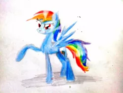 Size: 1280x960 | Tagged: safe, artist:kiwwsplash, derpibooru import, rainbow dash, pegasus, pony, female, mare, raised hoof, solo, traditional art