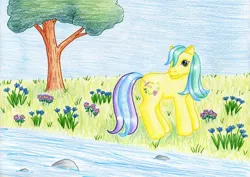 Size: 1024x724 | Tagged: artist:normaleeinsane, derpibooru import, flower, g3, meadowbrook (g3), river, safe, solo, stream, traditional art, tree