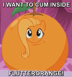 Size: 483x515 | Tagged: animated, blinking, caption, derpibooru import, flutterrange, fluttershy, food, image macro, inanimate tf, iwtcird, looking at you, meme, orange, orangified, solo, suggestive, text, transformation, what about discord?