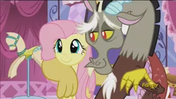 Size: 1334x750 | Tagged: safe, derpibooru import, screencap, discord, fluttershy, draconequus, pegasus, pony, what about discord?, carousel boutique, cute, discovery family logo, discute, mannequin, shyabetes