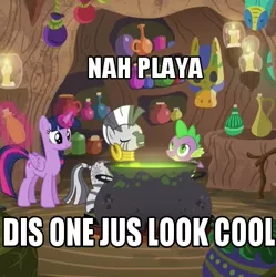 Size: 395x396 | Tagged: alicorn, caption, cauldron, derpibooru import, image macro, meme, safe, screencap, spike, text, twilight sparkle, twilight sparkle (alicorn), what about discord?, zebra, zecora, zecora's hut