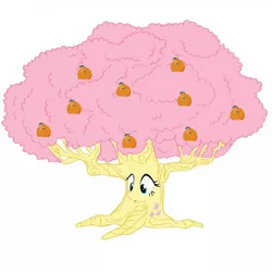 Size: 1130x1130 | Tagged: asexual, dendrification, derpibooru import, flutterrange, fluttershy, fluttertree, food, inanimate tf, not salmon, orange, orange tree, orangified, safe, simple background, transformation, tree, wat, what about discord?, what has science done, white background