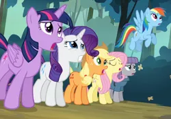 Size: 1524x1065 | Tagged: safe, derpibooru import, screencap, applejack, fluttershy, maud pie, rainbow dash, rarity, twilight sparkle, twilight sparkle (alicorn), alicorn, pony, maud pie (episode), female, mare