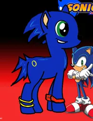 Size: 448x584 | Tagged: safe, artist:1joemini, derpibooru import, ponified, pony, crossover, logo, solo, sonic the hedgehog, sonic the hedgehog (series), sonic x