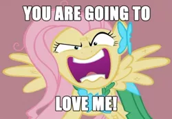 Size: 500x345 | Tagged: derpibooru import, exploitable meme, flutterrage, fluttershy, meme, old meme, safe, the best night ever, you're going to love me