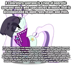 Size: 5532x5000 | Tagged: absurd resolution, caption, coloratura, countess coloratura, derpibooru import, image macro, meme, safe, solo, text, the mane attraction, the more you know, tl;dr, wall of text