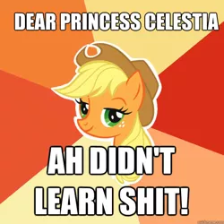 Size: 600x600 | Tagged: safe, derpibooru import, applejack, earth pony, pony, the super speedy cider squeezy 6000, accent, advice meme, applejack's hat, cowboy hat, dear princess celestia, exploitable meme, female, hat, i didn't learn anything, impact font, lidded eyes, mare, meme, solo, this will end in tears and/or a journey to the moon, vulgar