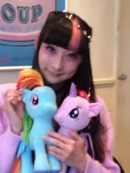 Size: 480x640 | Tagged: alicorn, blurry photo, derpibooru import, human, irl, irl human, japan, photo, rainbow dash, rinrin doll, safe, toy, twilight sparkle, twilight sparkle (alicorn)