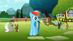 Size: 1280x720 | Tagged: safe, derpibooru import, screencap, rainbow dash, bird, duck, flying squirrel, mallard, pegasus, pony, rabbit, squirrel, may the best pet win, animal, duckling, female, find a pet, fluttershy's cottage, male, mare, youtube link