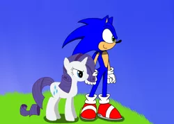 Size: 1400x1000 | Tagged: safe, artist:phantomshadow051, derpibooru import, rarity, pony, crossover, crossover shipping, female, interspecies, male, rarisonic, shipping, sonic the hedgehog, sonic the hedgehog (series), straight