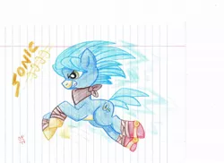 Size: 1024x744 | Tagged: safe, artist:candiphoenixes, derpibooru import, ponified, pony, lined paper, solo, sonic boom, sonic the hedgehog, sonic the hedgehog (series), traditional art