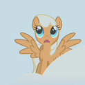 Size: 123x123 | Tagged: safe, derpibooru import, screencap, cream tangerine, pegasus, pony, sonic rainboom (episode), background pony, cropped, female, mare, picture for breezies, solo