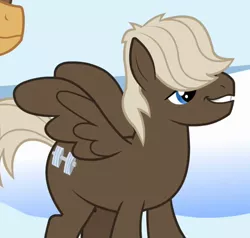 Size: 472x450 | Tagged: safe, derpibooru import, screencap, dumbbell, hoops, pegasus, pony, sonic rainboom (episode), cropped, male, solo focus, stallion